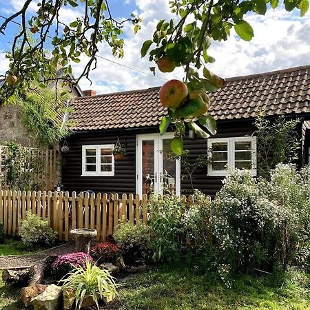 Cosy Studio Retreat In Wells, Somerset Kültér fotó